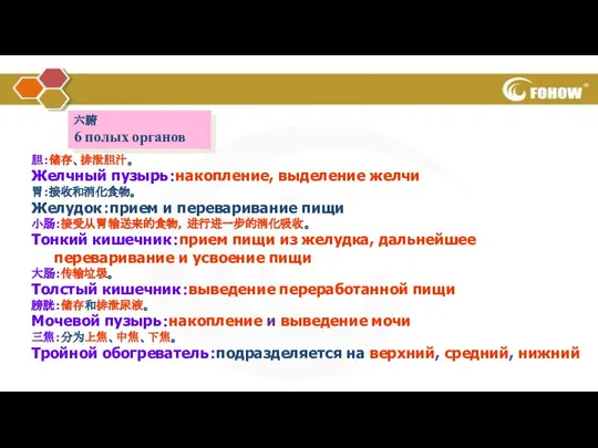 胆：储存、排泄胆汁。 Желчный пузырь：накопление, выделение желчи 胃：接收和消化食物。 Желудок：прием и переваривание пищи 小肠：接受从胃输送来的食物，进行进一步的消化吸收。