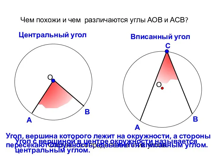 Чем похожи и чем различаются углы АОВ и АСВ? Центральный угол