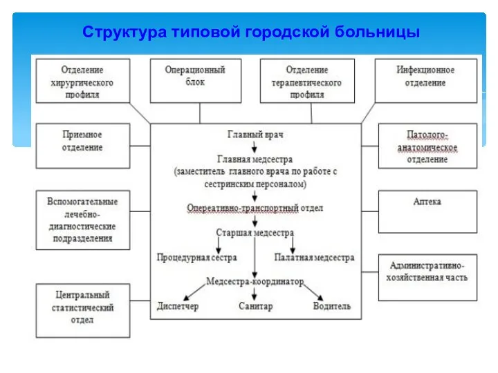 Структура типовой городской больницы