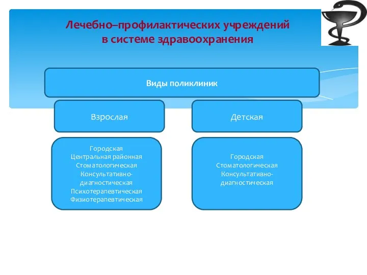 Лечебно–профилактических учреждений в системе здравоохранения Виды поликлиник Взрослая Детская Городская Центральная