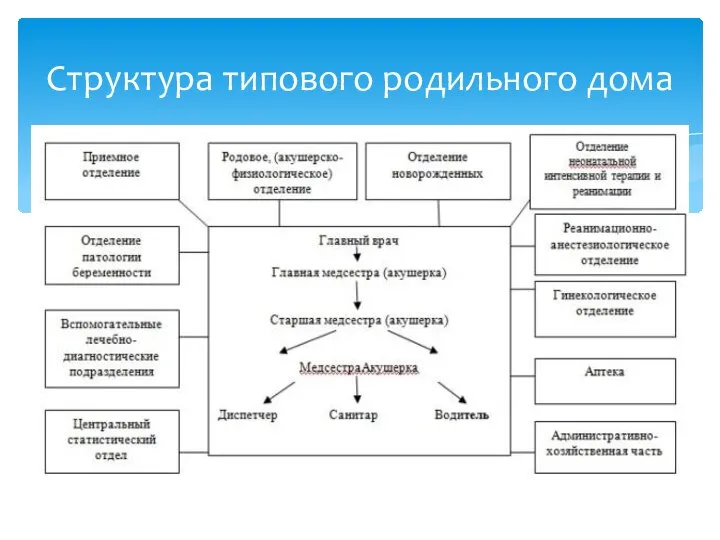 Структура типового родильного дома