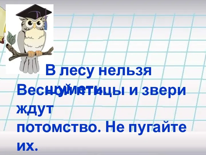 В лесу нельзя шуметь. Весной птицы и звери ждут потомство. Не пугайте их. Не разоряйте гнёзда.