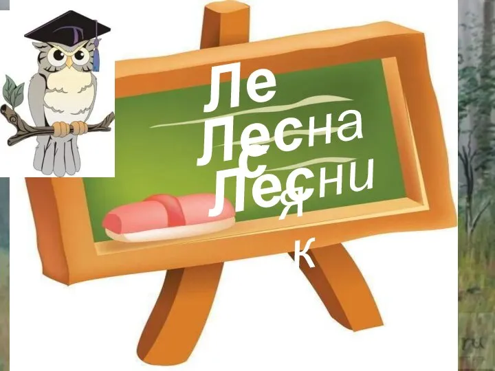 Лес Лесная Лесник