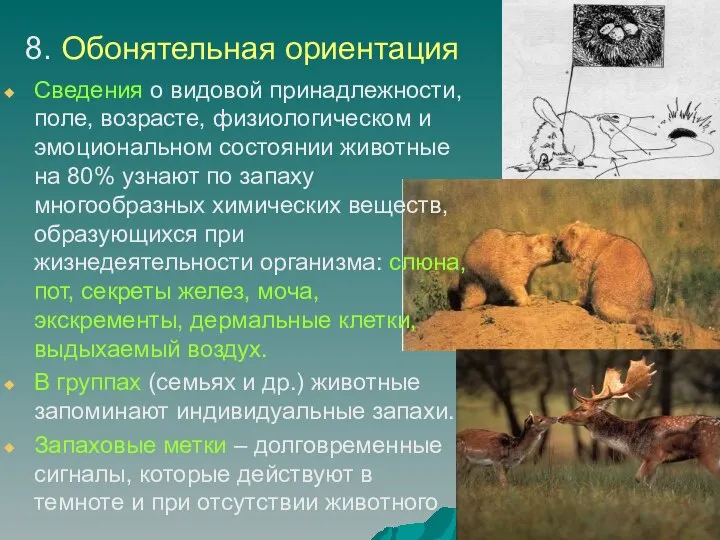 8. Обонятельная ориентация Сведения о видовой принадлежности, поле, возрасте, физиологическом и