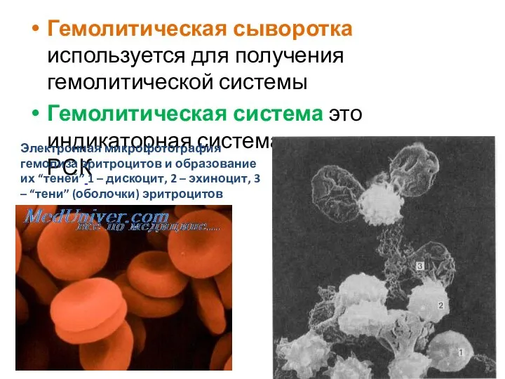 Гемолитическая сыворотка используется для получения гемолитической системы Гемолитическая система это индикаторная