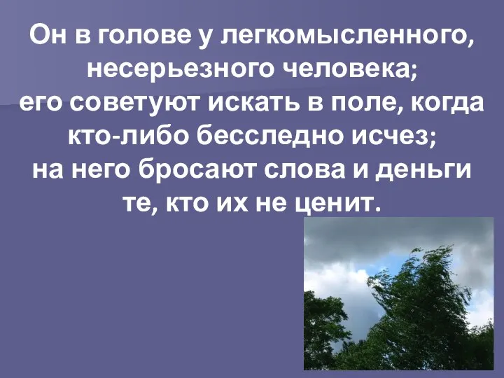 Он в голове у легкомысленного, несерьезного человека; его советуют искать в