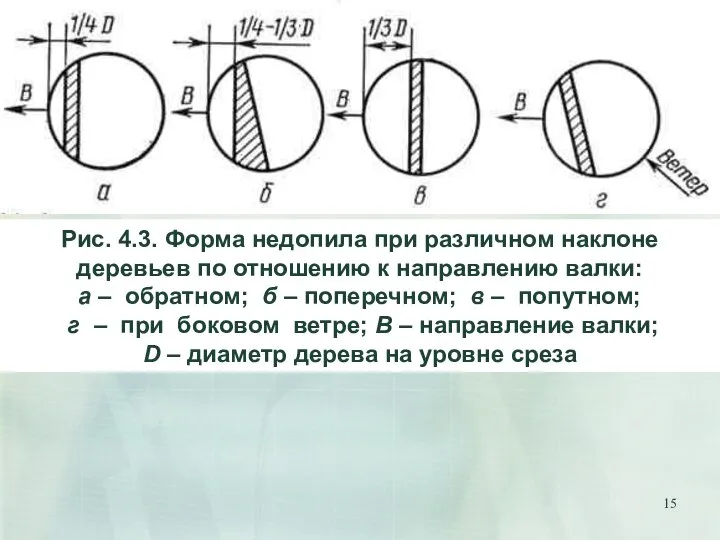 Рис. 4.3. Форма недопила при различном наклоне деревьев по отношению к