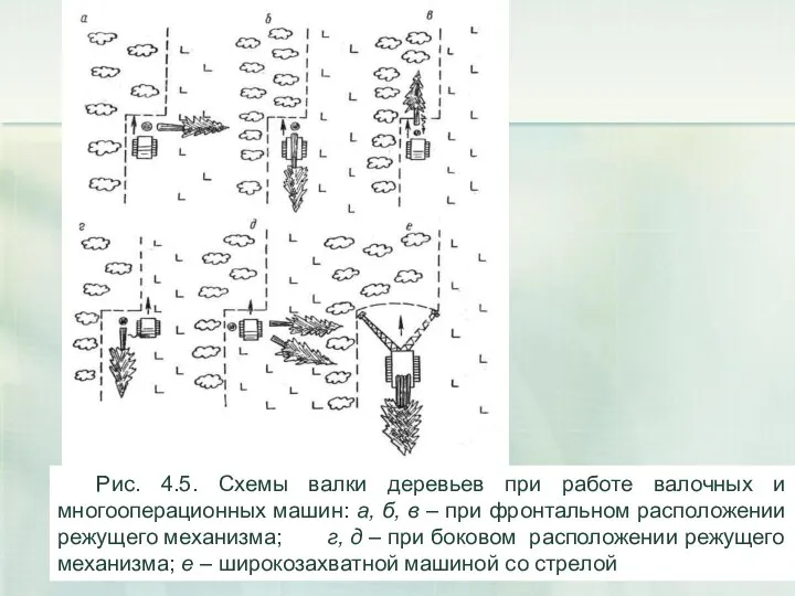 Рис. 4.5. Схемы валки деревьев при работе валочных и многооперационных машин: