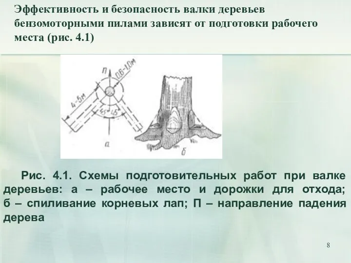 Эффективность и безопасность валки деревьев бензомоторными пилами зависят от подготовки рабочего