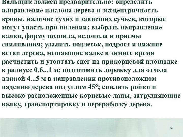 Вальщик должен предварительно: определить направление наклона дерева и эксцентричность кроны, наличие