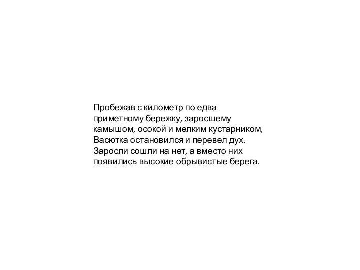 Пробежав с километр по едва приметному бережку, заросшему камышом, осокой и