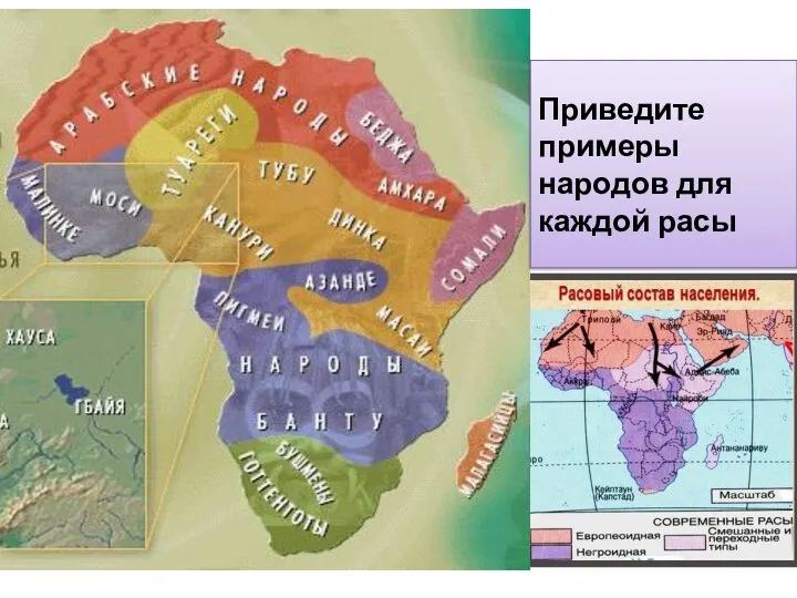 Приведите примеры народов для каждой расы