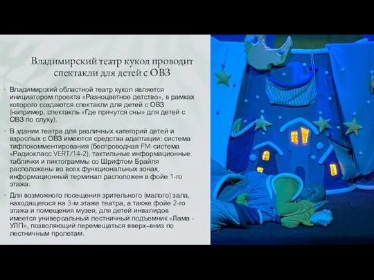 Владимирский театр кукол проводит спектакли для детей с ОВЗ Владимирский областной