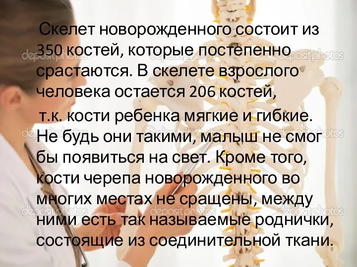 Скелет новорожденного состоит из 350 костей, которые постепенно срастаются. В скелете