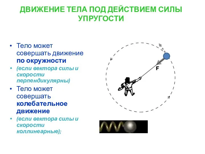 ДВИЖЕНИЕ ТЕЛА ПОД ДЕЙСТВИЕМ СИЛЫ УПРУГОСТИ Тело может совершать движение по