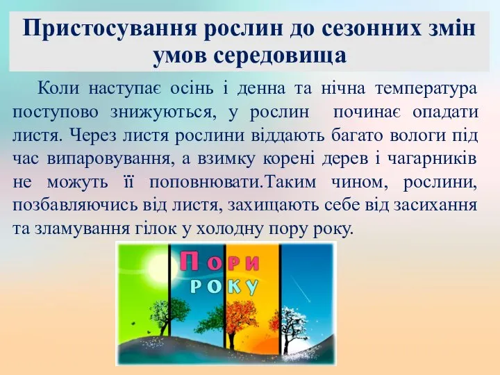 Коли наступає осінь і денна та нічна температура поступово знижуються, у