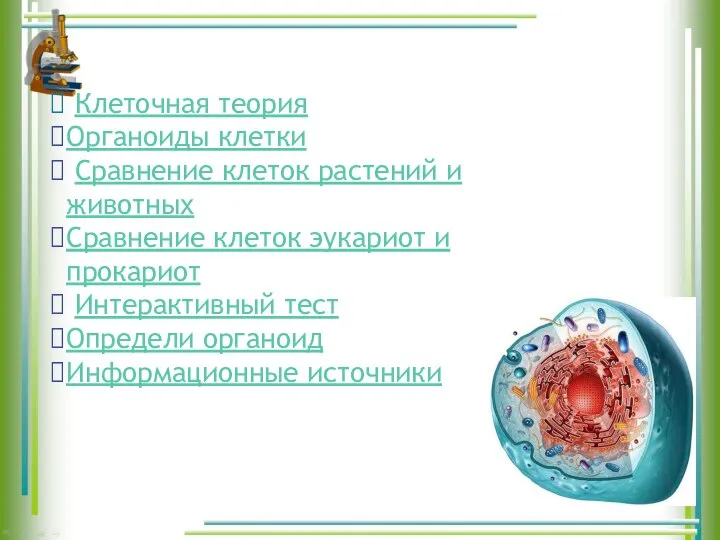 Клеточная теория Органоиды клетки Сравнение клеток растений и животных Сравнение клеток