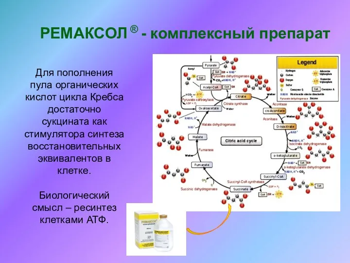 РЕМАКСОЛ ® - комплексный препарат Для пополнения пула органических кислот цикла