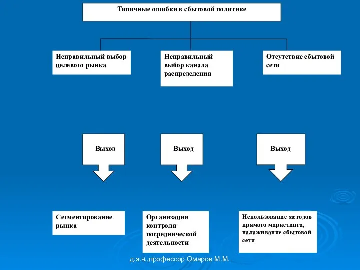 д.э.н.,профессор Омаров М.М.