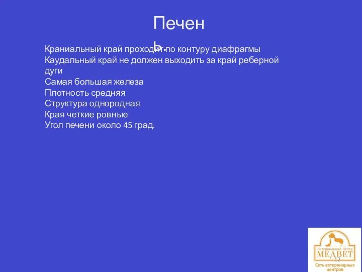 Печень. Краниальный край проходит по контуру диафрагмы Каудальный край не должен