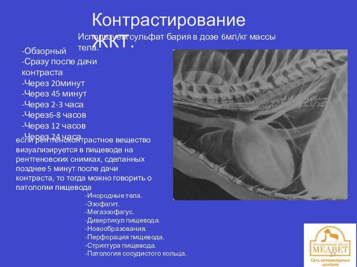 Контрастирование ЖКТ. Используем сульфат бария в дозе 6мл/кг массы тела. -Обзорный