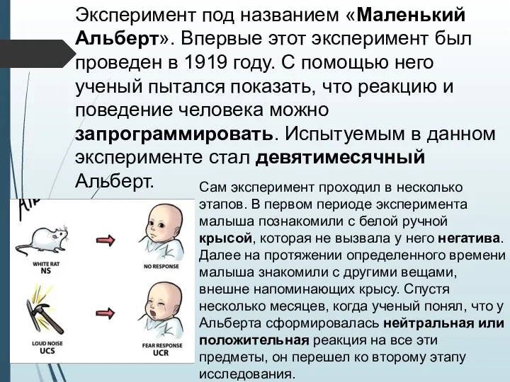 Сам эксперимент проходил в несколько этапов. В первом периоде эксперимента малыша