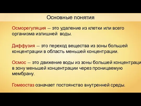 Основные понятия Осморегуляция — это удаление из клетки или всего организма