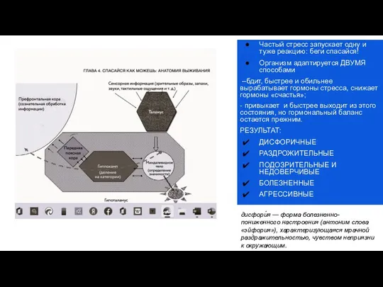 Частый стресс запускает одну и туже реакцию: беги спасайся! Организм адаптируется