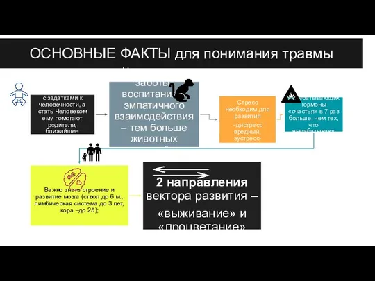 ОСНОВНЫЕ ФАКТЫ для понимания травмы