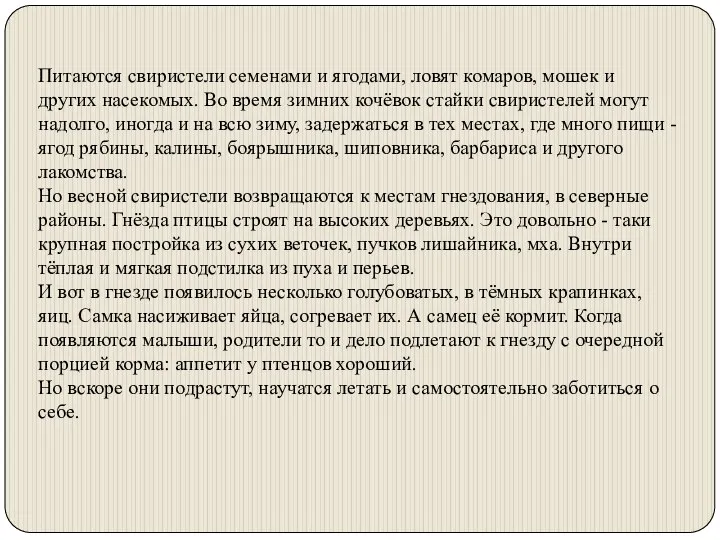 Питаются свиристели семенами и ягодами, ловят комаров, мошек и других насекомых.