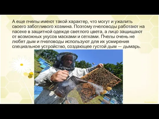А еще пчелы имеют такой характер, что могут и ужалить своего