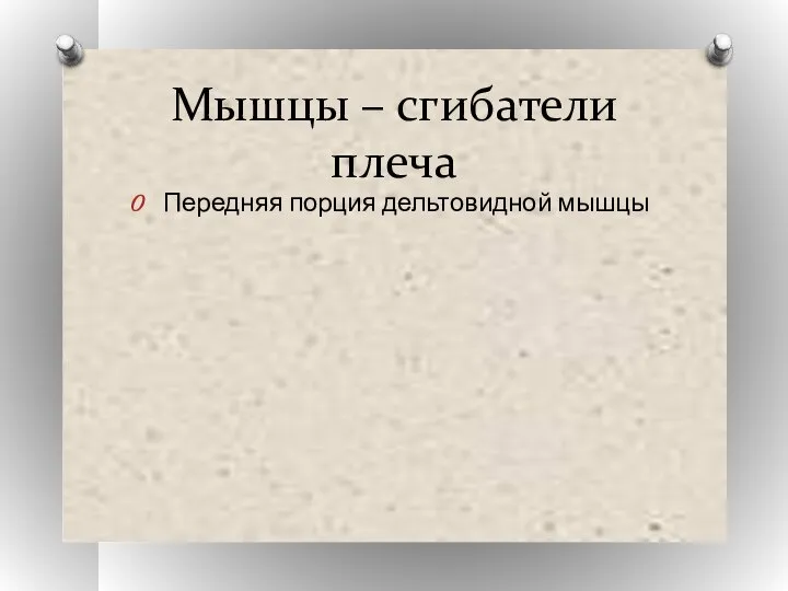 Мышцы – сгибатели плеча Передняя порция дельтовидной мышцы