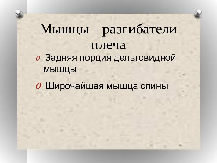 Мышцы – разгибатели плеча Задняя порция дельтовидной мышцы Широчайшая мышца спины