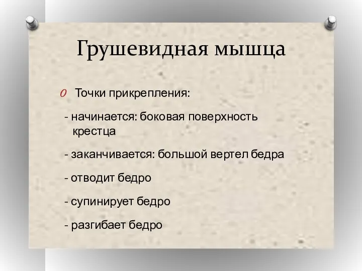 Грушевидная мышца Точки прикрепления: - начинается: боковая поверхность крестца - заканчивается: