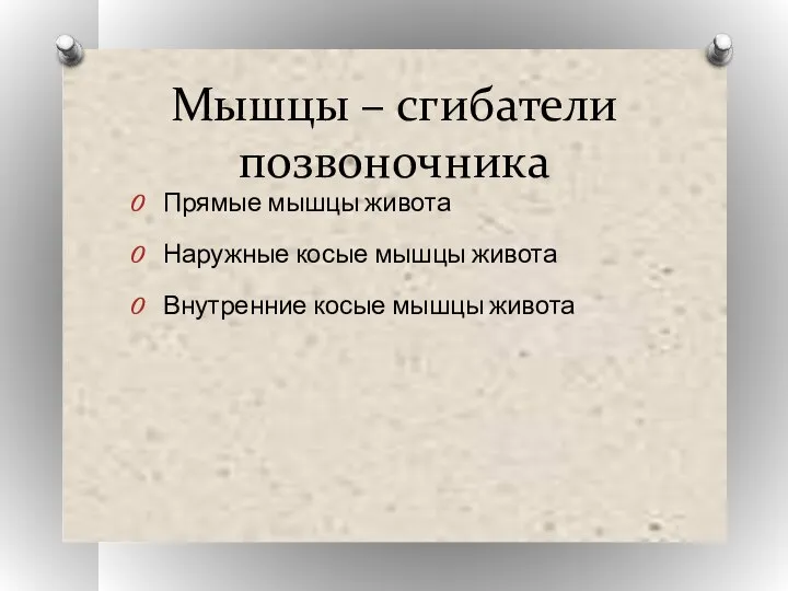 Мышцы – сгибатели позвоночника Прямые мышцы живота Наружные косые мышцы живота Внутренние косые мышцы живота