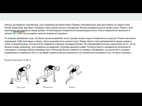 Пальцы рук образуют упругий свод, кисть параллельна линии старта. Прямые ненапряженные