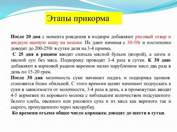 После 20 дня с момента рождения в подкорм добавляют рисовый отвар