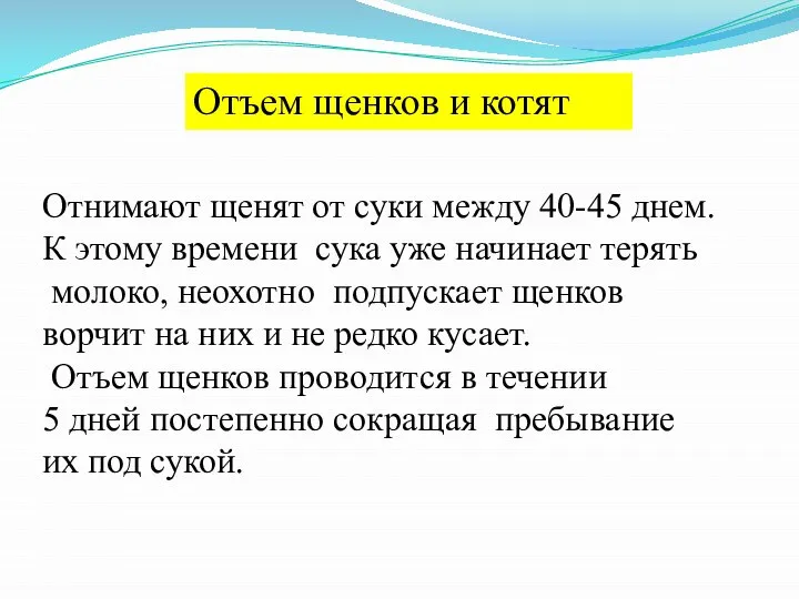 Отъем щенков и котят Отнимают щенят от суки между 40-45 днем.