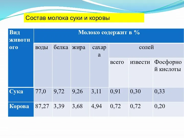 Состав молока суки и коровы