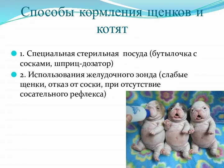 Способы кормления щенков и котят 1. Специальная стерильная посуда (бутылочка с