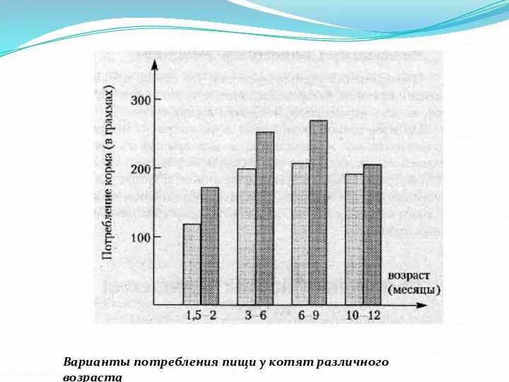 Варианты потребления пищи у котят различного возраста