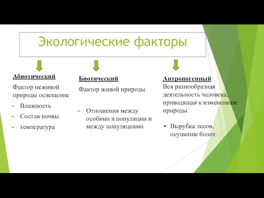 Экологические факторы Абиотический Фактор неживой природы освещение Влажность Состав почвы температура