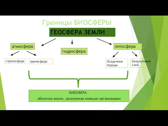 Границы БИОСФЕРЫ БИОСФЕРА – оболочка земли, заселенная живыми организмами атмосфера гидросфера