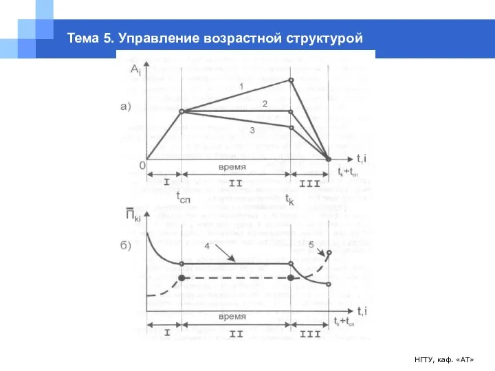 НГТУ, каф. «АТ» Тема 5. Управление возрастной структурой