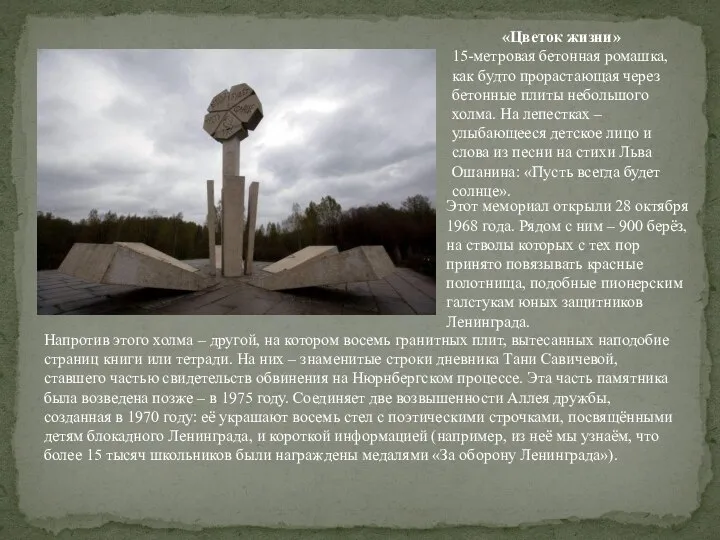 «Цветок жизни» 15-метровая бетонная ромашка, как будто прорастающая через бетонные плиты