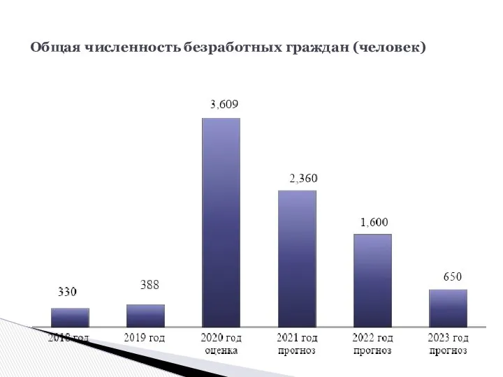 Общая численность безработных граждан (человек)