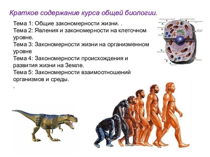 Краткое содержание курса общей биологии. Тема 1: Общие закономерности жизни. .