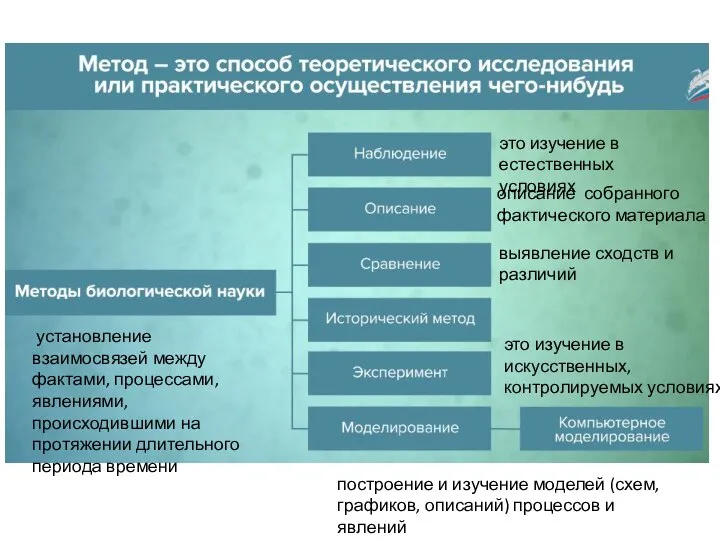 это изучение в естественных условиях описание собранного фактического материала выявление сход­ств