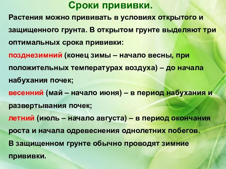 Растения можно прививать в условиях открытого и защищенного грунта. В открытом