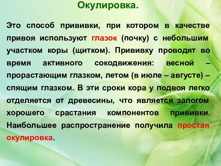 Это способ прививки, при котором в качестве привоя используют глазок (почку)